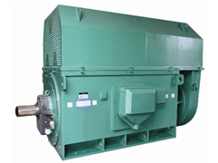 YR7103-6Y系列6KV高压电机